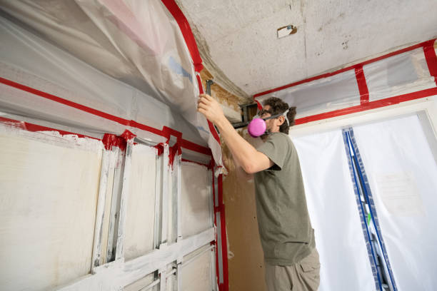 Best Mold-Related Health Consultation  in Berkshire Lakes, FL