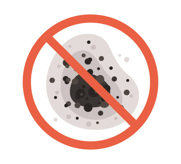 Best Comprehensive Air Testing for Mold Contaminants  in Berkshire Lakes, FL