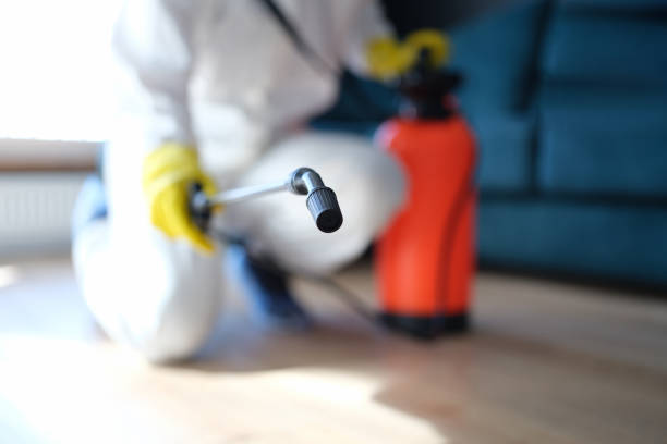 Best Mold Documentation for Insurance Claims  in Berkshire Lakes, FL