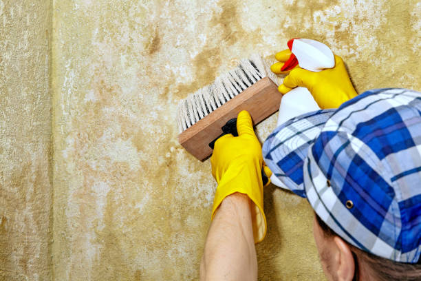 Best Airborne Mold Testing  in Berkshire Lakes, FL