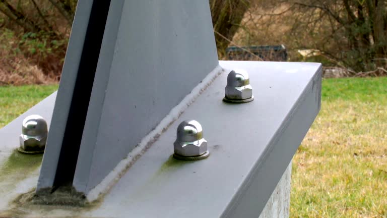Forensic Mold Investigation in Berkshire Lakes, FL